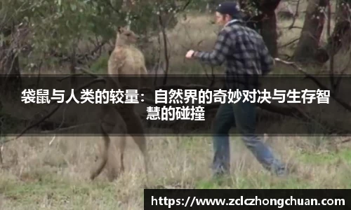 袋鼠与人类的较量：自然界的奇妙对决与生存智慧的碰撞